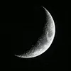 user50810912819817