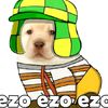 el_perro.insano5