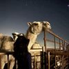 almansouri920