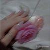 shaimamr4