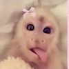 unclejimmy094