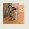 ello_48amavcs