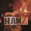 hamzsigemaa