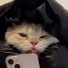 bongdeyy_