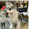 sizar_ahmed