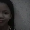 chescaustares