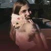 isforvalenn