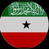 user8491872471261