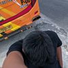 team_hunting_plembutan