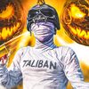 talibanshams