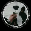 user7632178169181