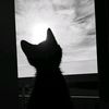sunoo23_1