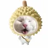 share mod IOS