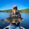🇺🇸 USA MONETIZED FISHING