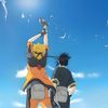 tobe_dluffy1