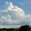 朝月