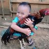 pak.galo