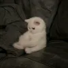 xcvbbbwwjl6