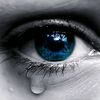 saad_7275