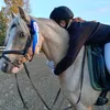 jeminanurmiainen