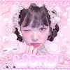 nia_packorder