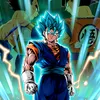 vegito3289