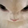 itstzxv