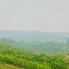 kamrul.ahmed726