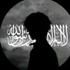 شاهي