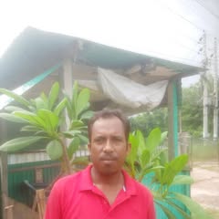 user2035345962035