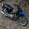 egigeming81