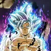 kakadossantos6