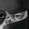 user3321151300125