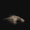 secrettour_41