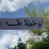 maax_573