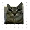 24hnho_anh1