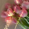 softblossoms0