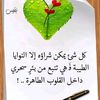 user2851015380841