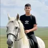 .31327371