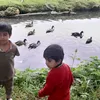ismayelahmadi8