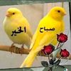 muscledmuhammad