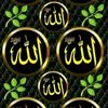 user4470465336581