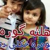 zarshedkhan26