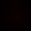lys_106