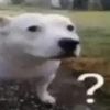 yo