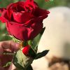 user88177859668558