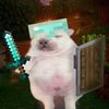 theofficialpibblepalace