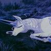 hiddenunicorn