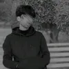 zi_trs