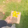 rawda.atef23